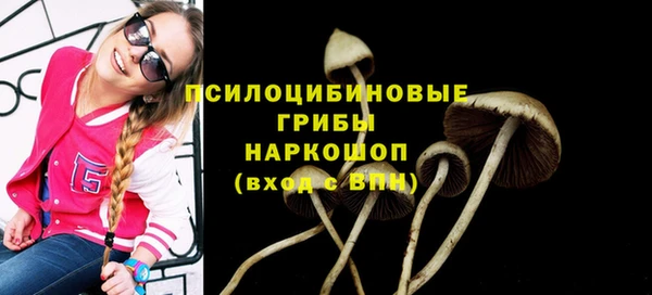 дурь Ветлуга