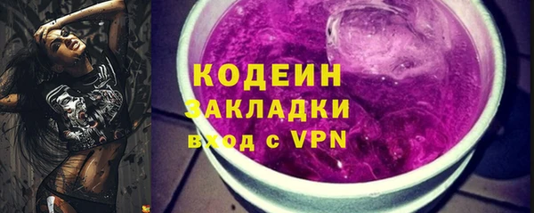 ECSTASY Горняк