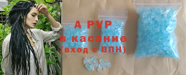 ECSTASY Горняк